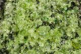 Peridot Crystals in Basalt - Arizona #355060-1